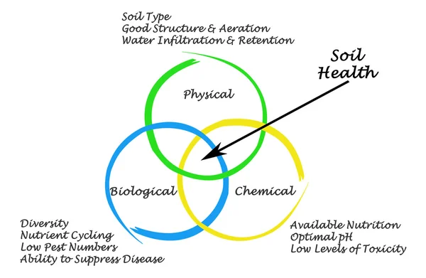Диаграмма состояния почвы — стоковое фото