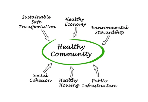 Diagram of Healthy Community — Stock Photo, Image