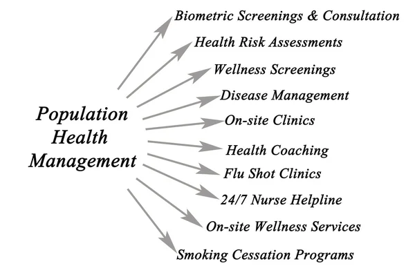 Diagrama da Plataforma de Gestão da Saúde da População — Fotografia de Stock