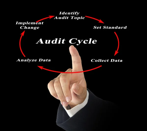 Diagram of Audit Cycle — Stock Photo, Image