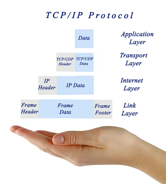 Диаграмма протокола TC / IP — стоковое фото