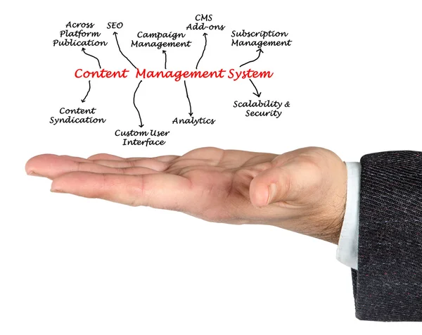 Diagrama del sistema de gestión de contenidos — Foto de Stock