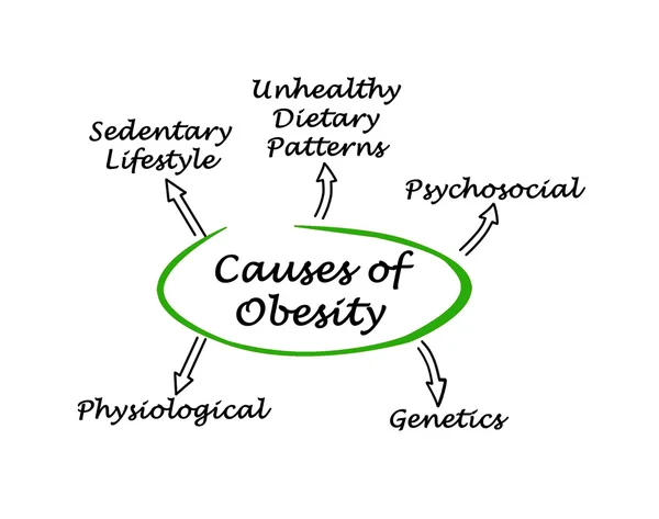 Diagram przyczyn otyłości — Zdjęcie stockowe