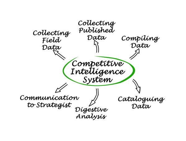 Диаграмма конкурентной системы интеллекта — стоковое фото