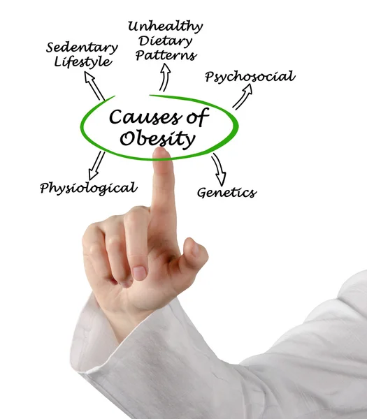 Diagrama de Causas de Obesidad — Foto de Stock