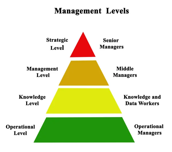 Darstellung des Managementdiagramms — Stockfoto
