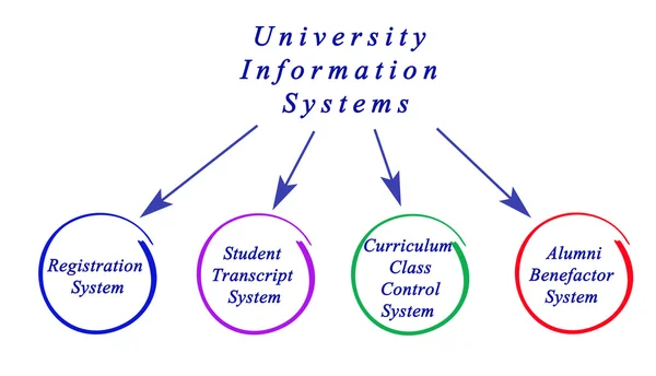 Üniversite bilgi sistemi diyagramı — Stok fotoğraf