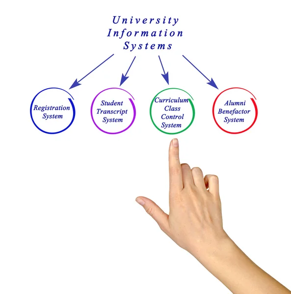 Diagram över universitet informationssystem — Stockfoto