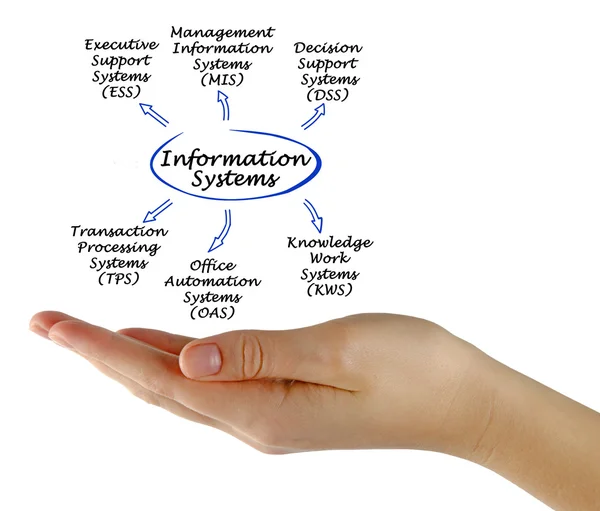 Tipos de sistemas de información —  Fotos de Stock