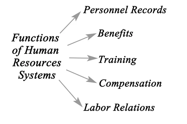 Diagrama de sistemas de recursos humanos —  Fotos de Stock