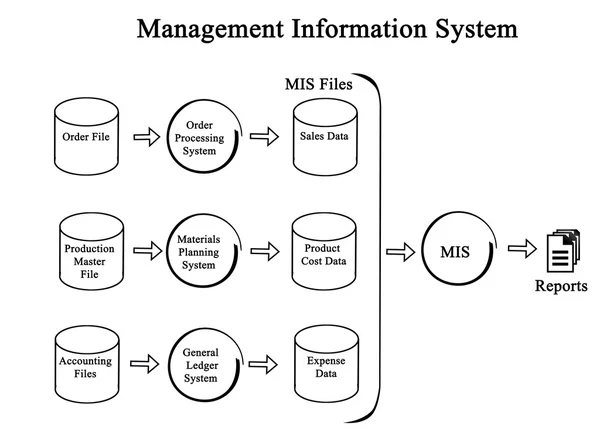 Diagrama del Sistema de Información de Gestión — Foto de Stock