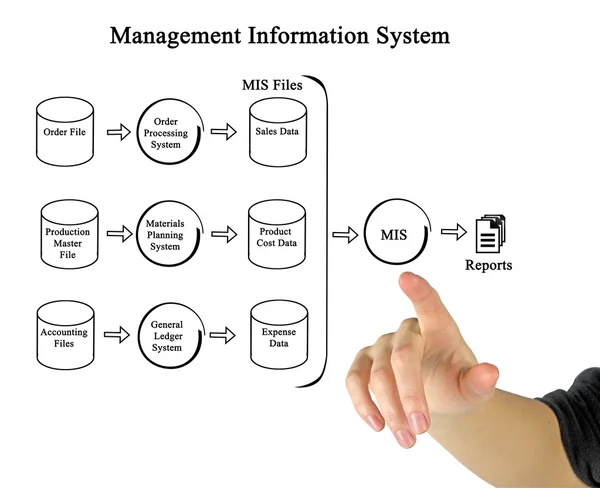 Diagrama del Sistema de Información de Gestión —  Fotos de Stock