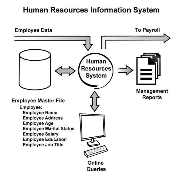 Personální informační systém — Stock fotografie