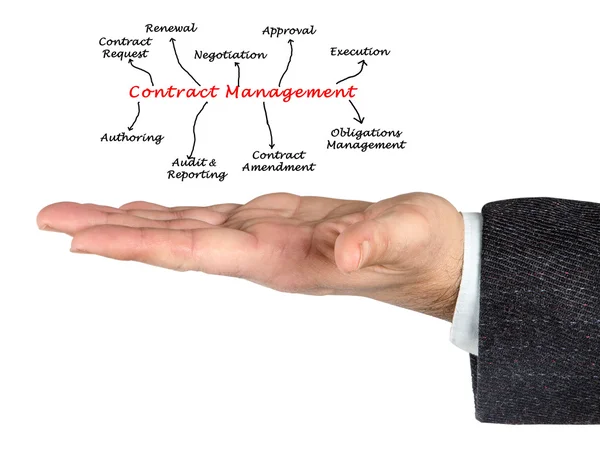 Diagram of Contract Management — Stock Photo, Image