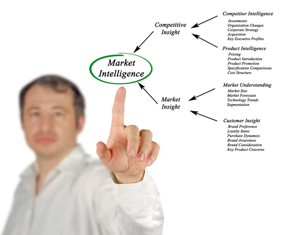Diagrama de Inteligencia de Mercado — Foto de Stock