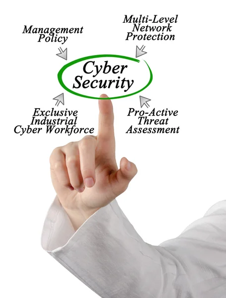 Schema di Cyber Security — Foto Stock