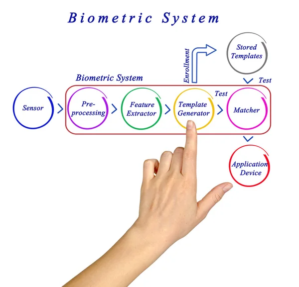 Діаграма біометричної системи — стокове фото