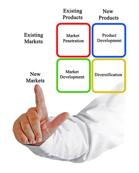 Presentation of Diagram of marketing — Stock Photo, Image