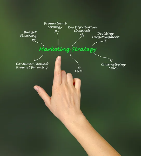 Diagram of Marketing strategy — Stock Photo, Image