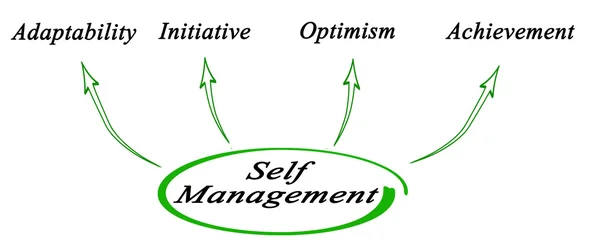 Diagrama beneficiilor automanagementului — Fotografie, imagine de stoc
