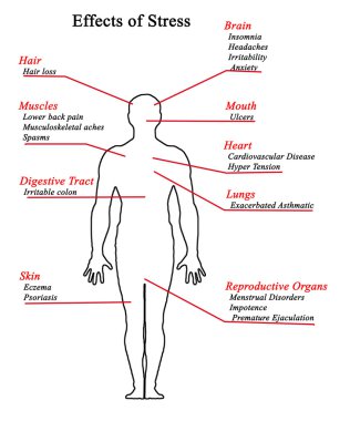 Stresin etkilerini diyagramı