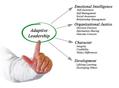 Diyagram adaptif liderlik