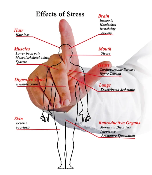 Schéma účinky stresu — Stock fotografie