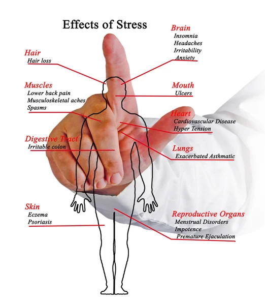 Διάγραμμα των επιπτώσεων του στρες — Φωτογραφία Αρχείου