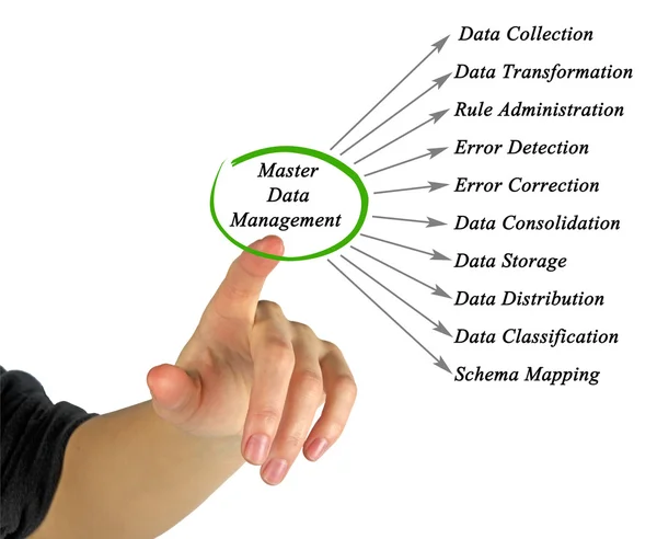 Schema di gestione dei dati master — Foto Stock