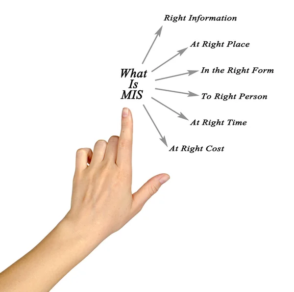 Diagrama de lo que es MIS — Foto de Stock