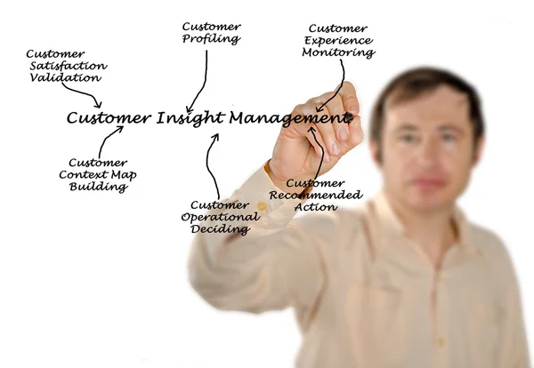 Schéma Insight Správa zákazníků — Stock fotografie