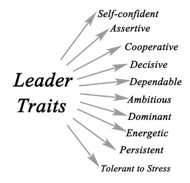 Diyagram lideri özellikleri