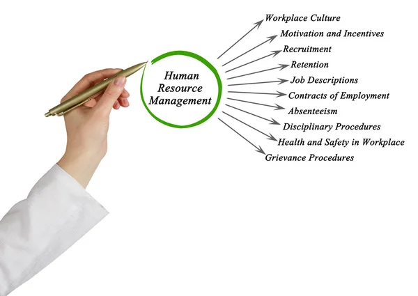 Diagrama de Gestión de Recursos Humanos — Foto de Stock