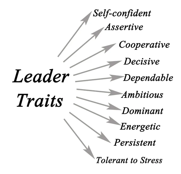 Diagram of leader traits — Stock Photo, Image