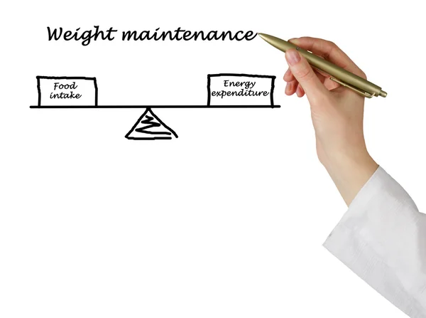 Equilibrio entre consumo de energía y gasto energético —  Fotos de Stock