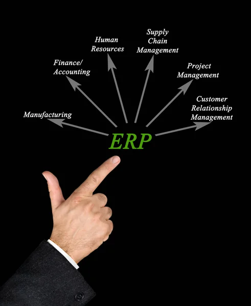 Diagram över enterprise resource planning — Stockfoto