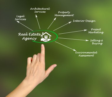 Emlak ajansı tanıtım