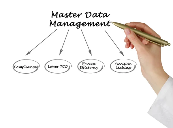 Diagrama de Gestión de Datos Maestros — Foto de Stock