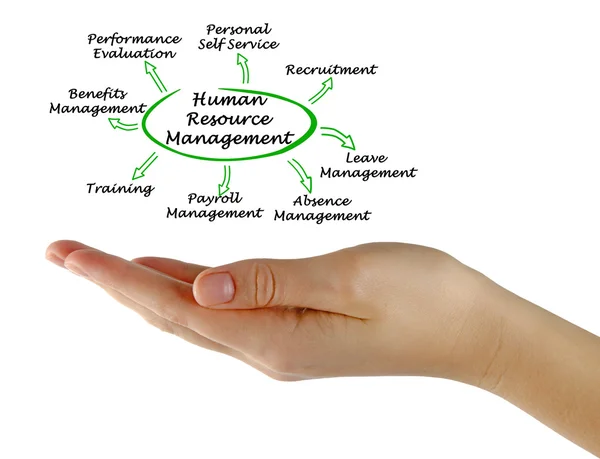 Diagrama de Gestão de Recursos Humanos — Fotografia de Stock