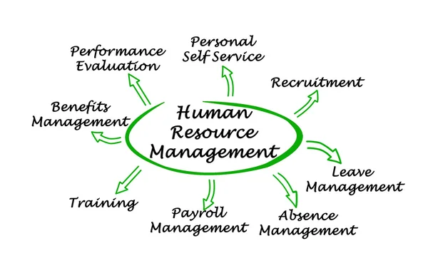Диаграмма управления человеческими ресурсами — стоковое фото