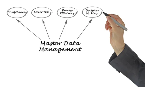 Diagram of Master Data Management — Stock Photo, Image