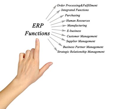 Erp fonksiyonların tanıtımı