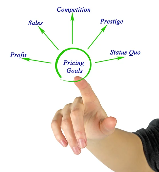 Diagram of Pricing Goals — Stock Photo, Image