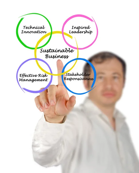 Diagram of Sustainable Business — Stock Photo, Image