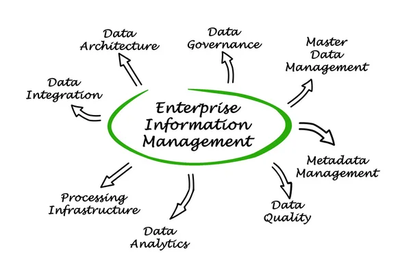 Diagram över Enterprise Information Management — Stockfoto