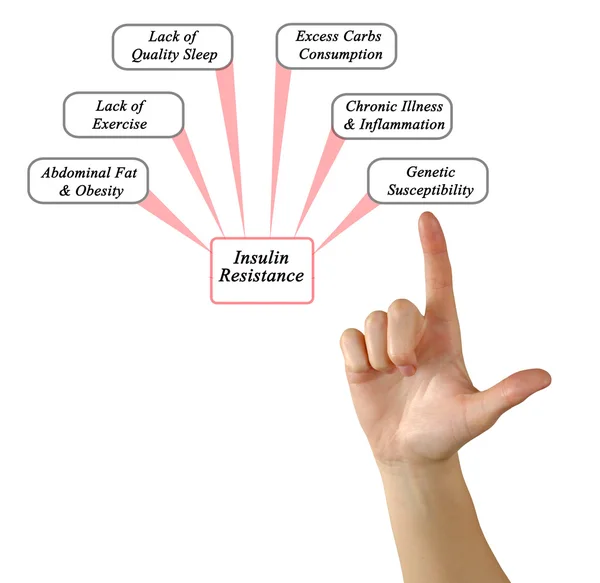 Causes of Insulin Resistance — Stock Photo, Image