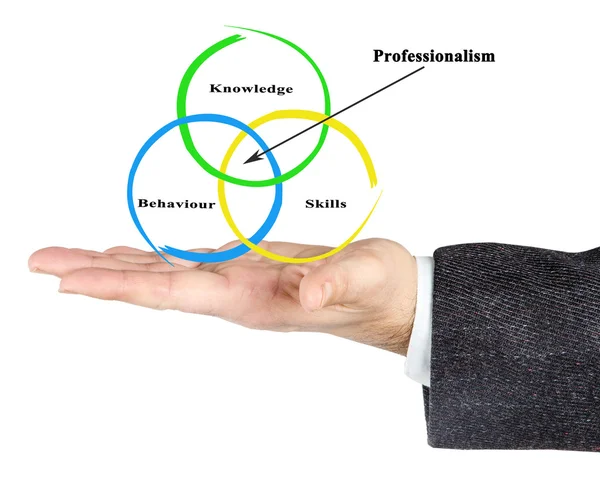 Presentation of Components of Professionalism — Stock Photo, Image