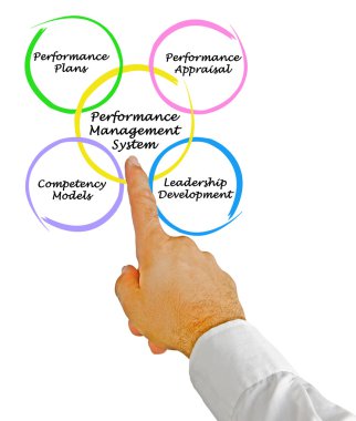 Performans yönetim sistemi diyagramı