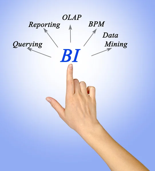 Diagram of Business Intelligence — Stock Photo, Image