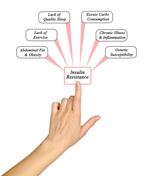 Diagrama de las causas de la resistencia a la insulina — Foto de Stock